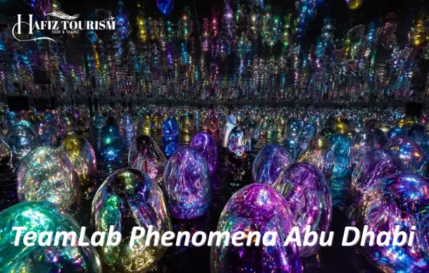 TeamLab Phenomena in Abu Dhabi
