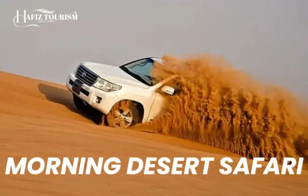 Dubai desert safari tour