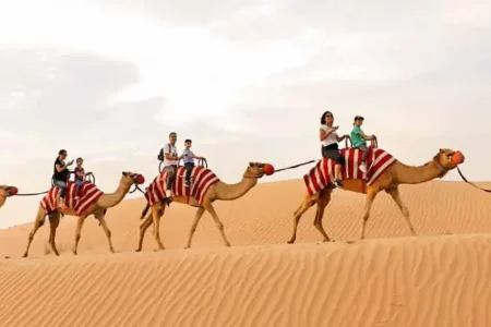 Morning Desert Safari Dubai: Adventure & Sunrise Views (2025 Guide)
