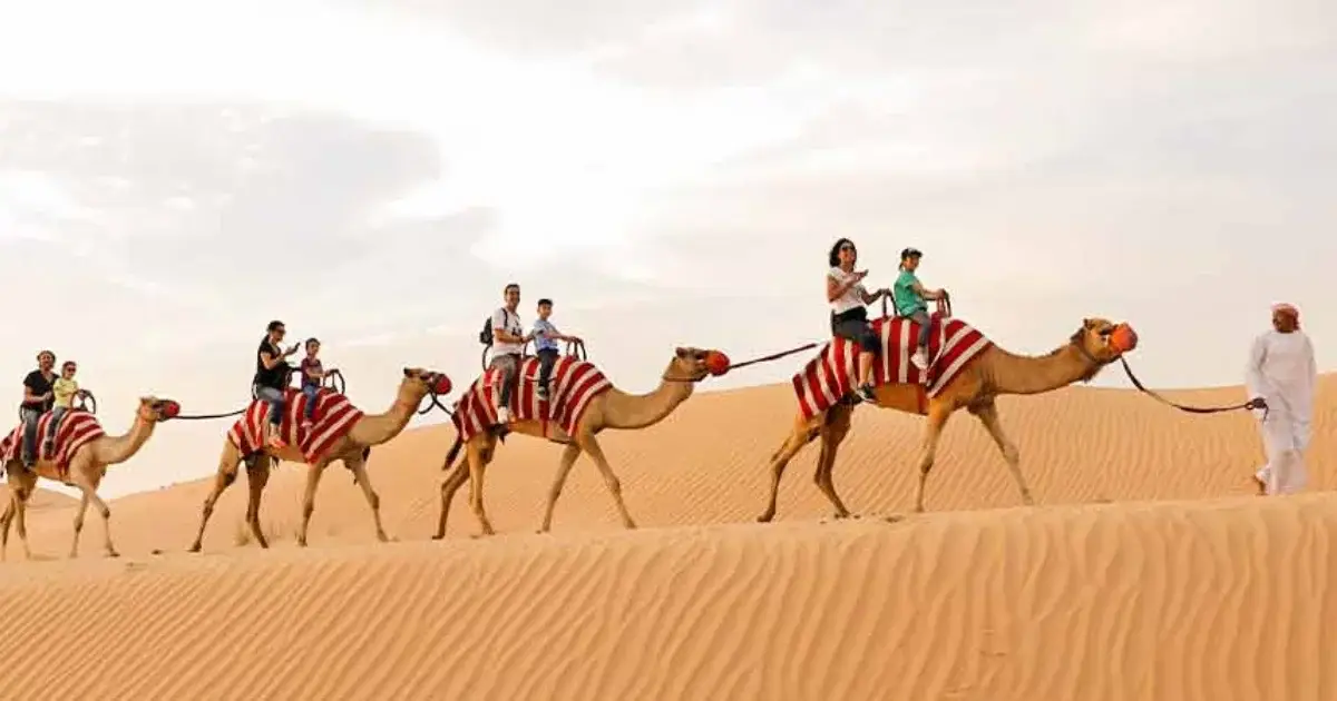 Morning Desert Safari Dubai