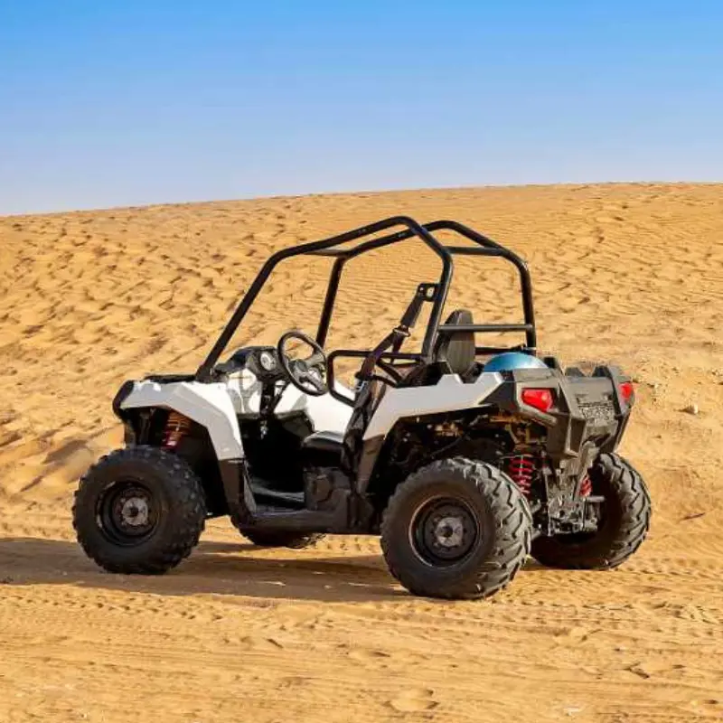 2 seater Polaris Buggy ride