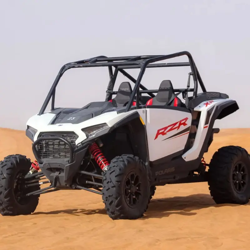 2 Seater Polaris Buggy Rental